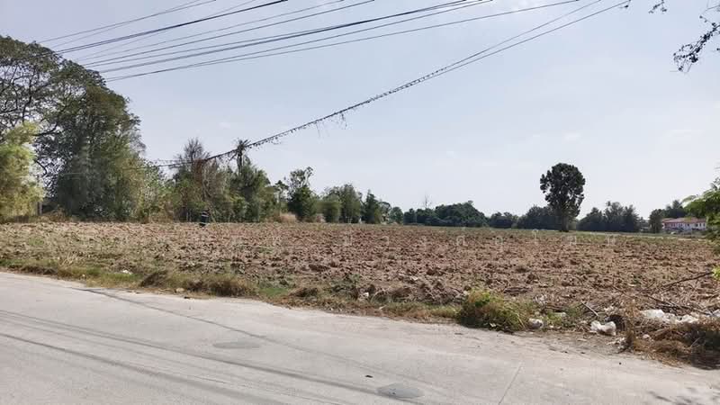 Purple Zone Land 22.5 Rai in Sriracha near Pinthong Industrial Park, Chon Buri (Pattaya), Nong - Kham, Si Racha, Chon Buri (Pattaya), , 36,096 sqm, Land For Sale, by Chanitnun Mewongukote, 500149854 - DDproperty.com