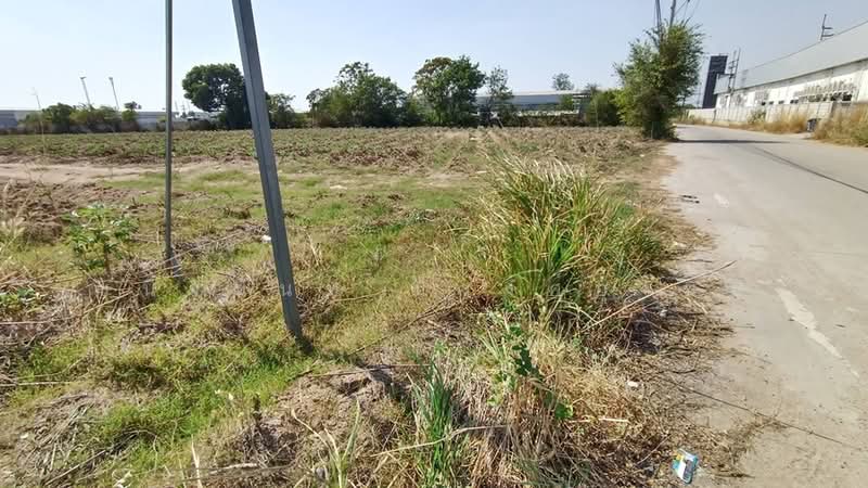 Purple Zone Land 22.5 Rai in Sriracha near Pinthong Industrial Park, Chon Buri (Pattaya), Nong - Kham, Si Racha, Chon Buri (Pattaya), , 36,096 sqm, Land For Sale, by Chanitnun Mewongukote, 500149854 - DDproperty.com