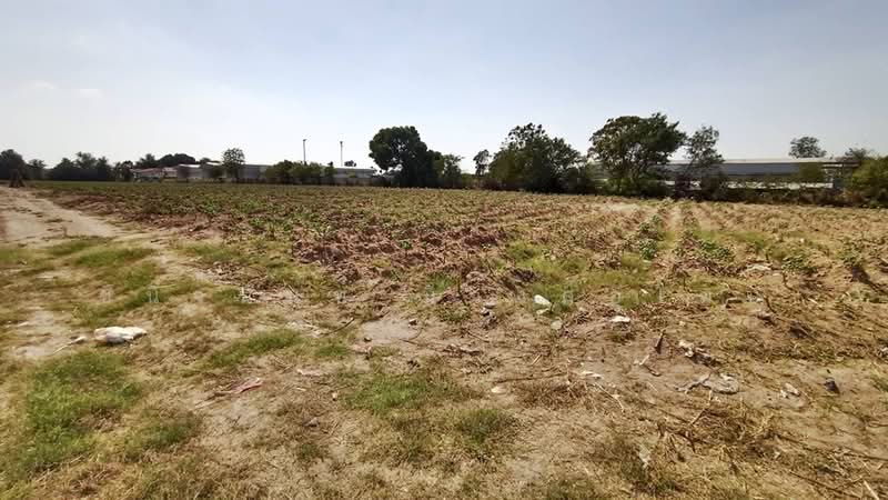 ขายที่ดินสีม่วง 22.5 ไร่ ศรีราชา ใกล้นิคมปิ่นทอง, ชลบุรี, หนองขาม, ศรีราชา, ชลบุรี, 36,096 ตร.ม., ที่ดิน ขาย, โดย ชนิจนันท์ มีวงศ์อุโฆษ, 500149854 - DDproperty.com