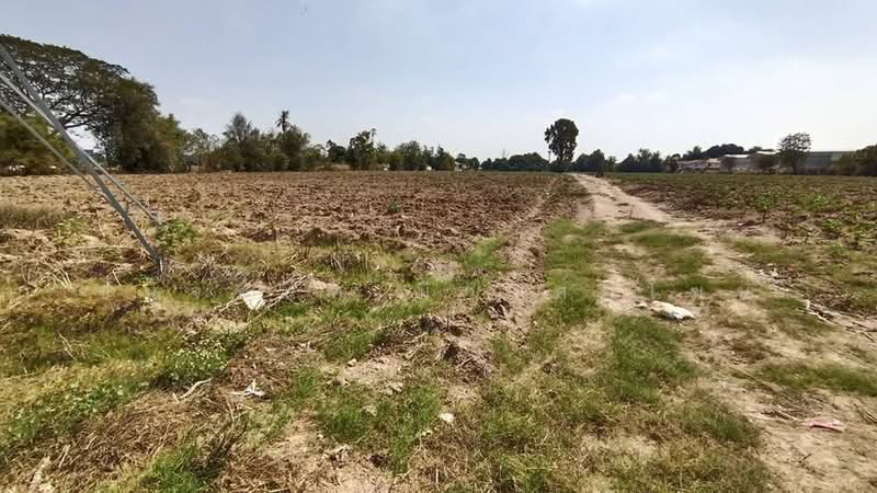 Purple Zone Land 22.5 Rai in Sriracha near Pinthong Industrial Park, Chon Buri (Pattaya), Nong - Kham, Si Racha, Chon Buri (Pattaya), , 36,096 sqm, Land For Sale, by Chanitnun Mewongukote, 500149854 - DDproperty.com