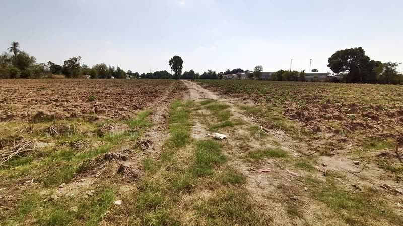 Purple Zone Land 22.5 Rai in Sriracha near Pinthong Industrial Park, Chon Buri (Pattaya), Nong - Kham, Si Racha, Chon Buri (Pattaya), , 36,096 sqm, Land For Sale, by Chanitnun Mewongukote, 500149854 - DDproperty.com