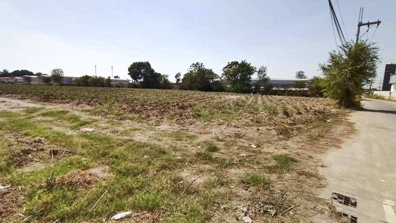 ขายที่ดินสีม่วง 22.5 ไร่ ศรีราชา ใกล้นิคมปิ่นทอง, ชลบุรี, หนองขาม, ศรีราชา, ชลบุรี, 36,096 ตร.ม., ที่ดิน ขาย, โดย ชนิจนันท์ มีวงศ์อุโฆษ, 500149854 - DDproperty.com