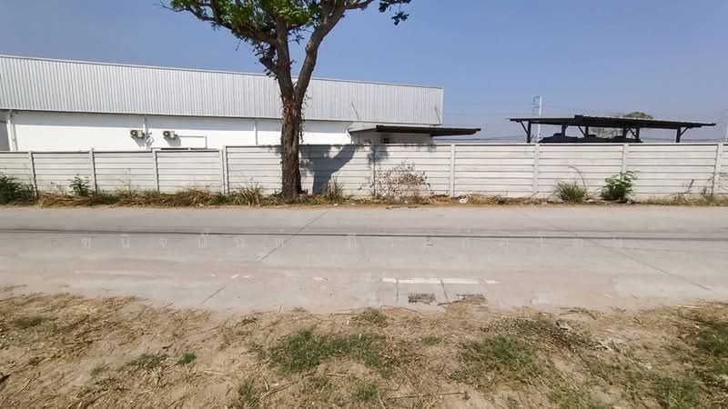 Purple Zone Land 22.5 Rai in Sriracha near Pinthong Industrial Park, Chon Buri (Pattaya), Nong - Kham, Si Racha, Chon Buri (Pattaya), , 36,096 sqm, Land For Sale, by Chanitnun Mewongukote, 500149854 - DDproperty.com