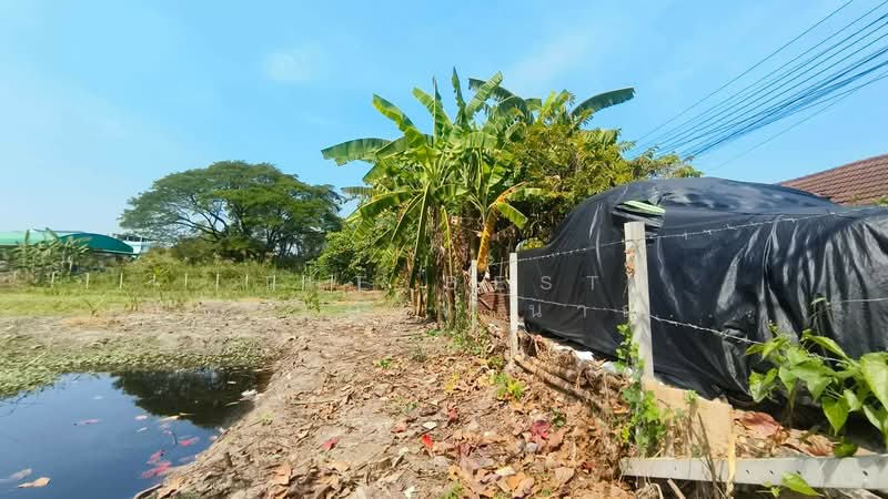 ที่ดินบางแค กรุงเทพมหานคร, กรุงเทพ, หลักสอง, บางแค, กรุงเทพ, 1,440 ตร.ม., ที่ดิน ขาย, โดย The Best Property นาถ (รหัสตัวแทน 5843) Line ID : nat-ratda, 500150003 - DDproperty.com