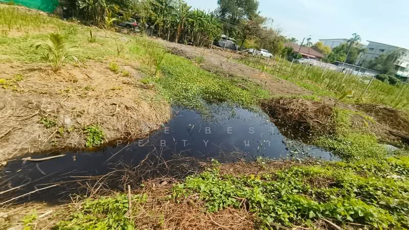 ที่ดินบางแค กรุงเทพมหานคร, Bangkok, Lak Song, Bang Khae, Bangkok, , 1,440 sqm, Land For Sale, by The Best Property นาถ (รหัสตัวแทน 5843) Line ID : nat-ratda, 500150003 - DDproperty.com