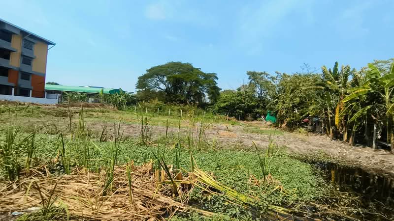 ที่ดินบางแค กรุงเทพมหานคร, Bangkok, Lak Song, Bang Khae, Bangkok, , 1,440 sqm, Land For Sale, by The Best Property นาถ (รหัสตัวแทน 5843) Line ID : nat-ratda, 500150003 - DDproperty.com