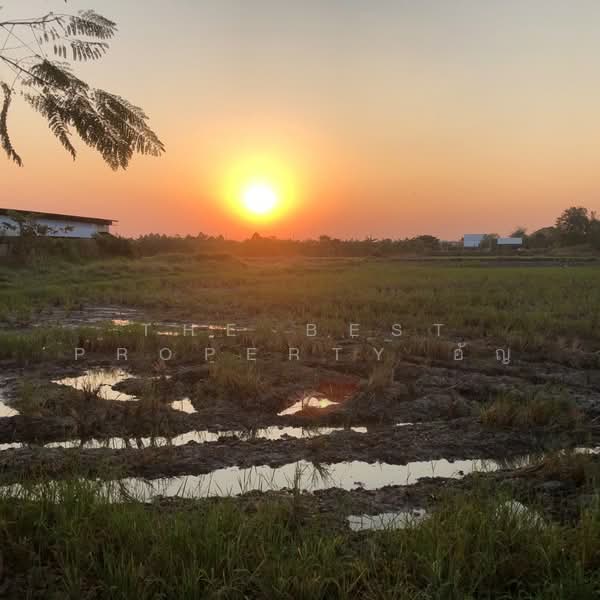 ขาย - ที่ดินเขาท่าพระ ชัยนาท, ชัยนาท