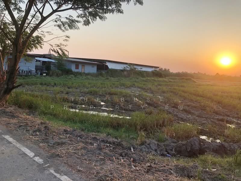 ขาย - ที่ดินเขาท่าพระ ชัยนาท, ชัยนาท