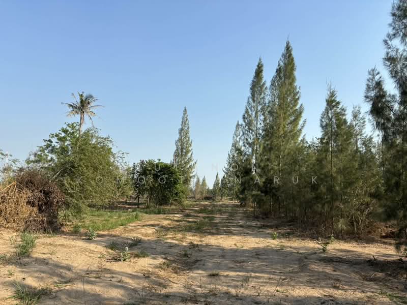 ขายที่ดินเปล่า หัวหิน ทับใต้ 12-3-13 ไร่ ติดถนน ทำเลดี ใกล้แม็คโคร ปราณบุรี, Prachuap Khiri Khan, Thap Tai, Hua Hin, Prachuap Khiri Khan, , 20,452 sqm, Land For Sale, by Jutanon Komoottanaruk, 500150135 - DDproperty.com