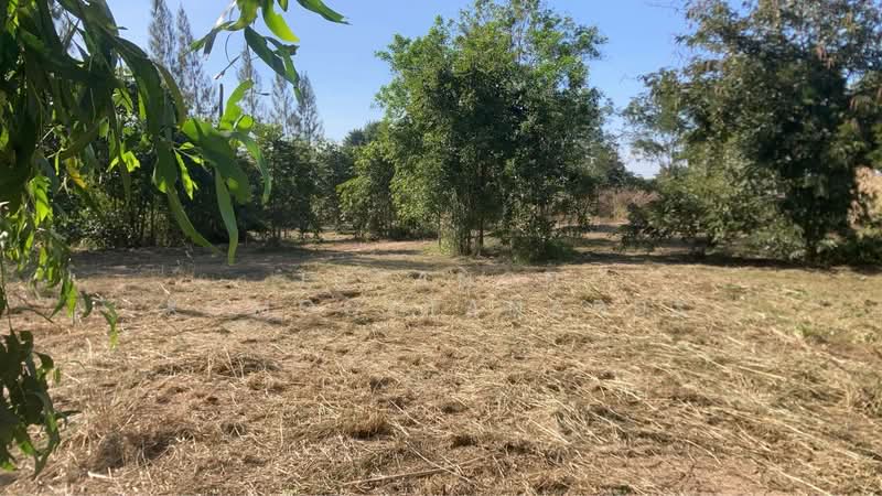 ขายที่ดินเปล่า หัวหิน ทับใต้ 12-3-13 ไร่ ติดถนน ทำเลดี ใกล้แม็คโคร ปราณบุรี, Prachuap Khiri Khan, Thap Tai, Hua Hin, Prachuap Khiri Khan, , 20,452 sqm, Land For Sale, by Jutanon Komoottanaruk, 500150135 - DDproperty.com