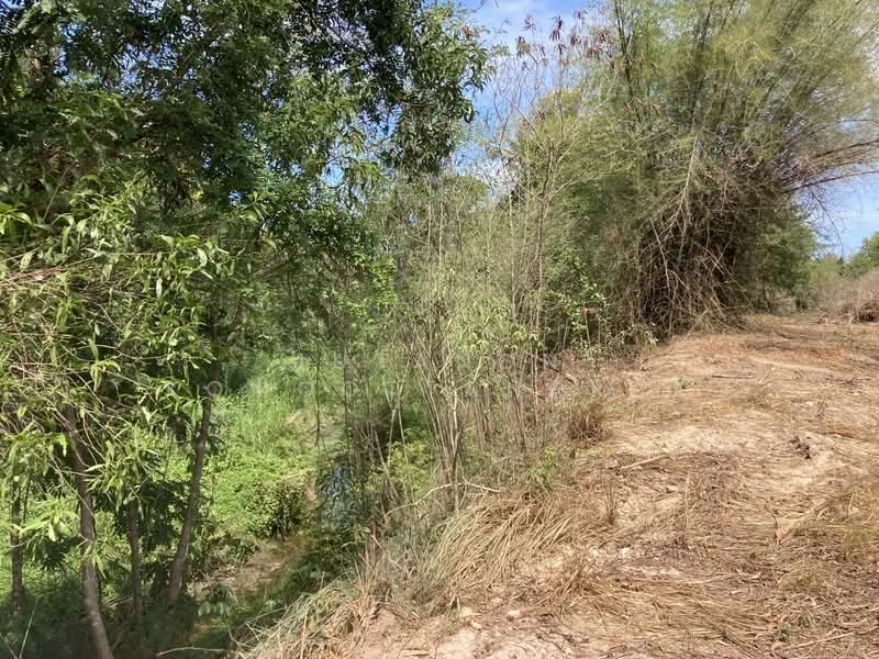 ขายที่ดินเปล่า หัวหิน ทับใต้ 12-3-13 ไร่ ติดถนน ทำเลดี ใกล้แม็คโคร ปราณบุรี, Prachuap Khiri Khan, Thap Tai, Hua Hin, Prachuap Khiri Khan, , 20,452 sqm, Land For Sale, by Jutanon Komoottanaruk, 500150135 - DDproperty.com