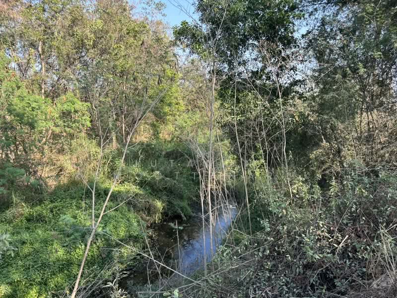 ขายที่ดินเปล่า หัวหิน ทับใต้ 12-3-13 ไร่ ติดถนน ทำเลดี ใกล้แม็คโคร ปราณบุรี, ประจวบคีรีขันธ์, ทับใต้, หัวหิน, ประจวบคีรีขันธ์, 20,452 ตร.ม., ที่ดิน ขาย, โดย Jutanon Komoottanaruk, 500150135 - DDproperty.com