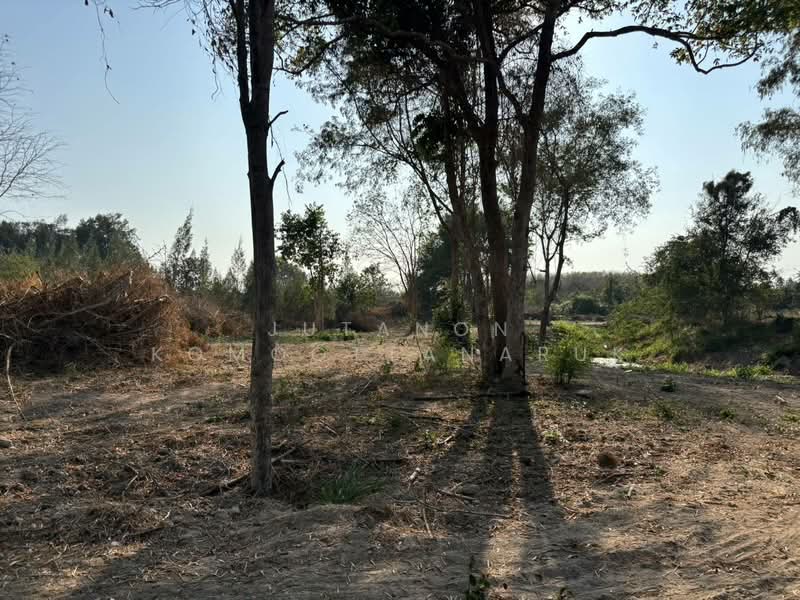 ขายที่ดินเปล่า หัวหิน ทับใต้ 12-3-13 ไร่ ติดถนน ทำเลดี ใกล้แม็คโคร ปราณบุรี, ประจวบคีรีขันธ์, ทับใต้, หัวหิน, ประจวบคีรีขันธ์, 20,452 ตร.ม., ที่ดิน ขาย, โดย Jutanon Komoottanaruk, 500150135 - DDproperty.com