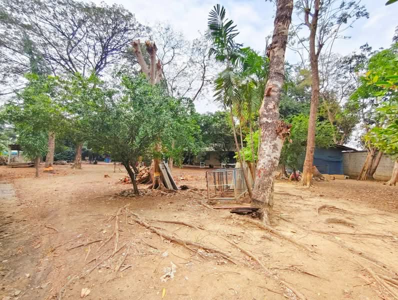 โกดังพร้อมออฟฟิศบ้านโป่ง ราชบุรี, ราชบุรี, หนองอ้อ, บ้านโป่ง, ราชบุรี, 2,000 ตร.ม., โกดัง-โรงงาน ขาย, โดย The Best Property Agent โอ็ต, 500150154 - DDproperty.com