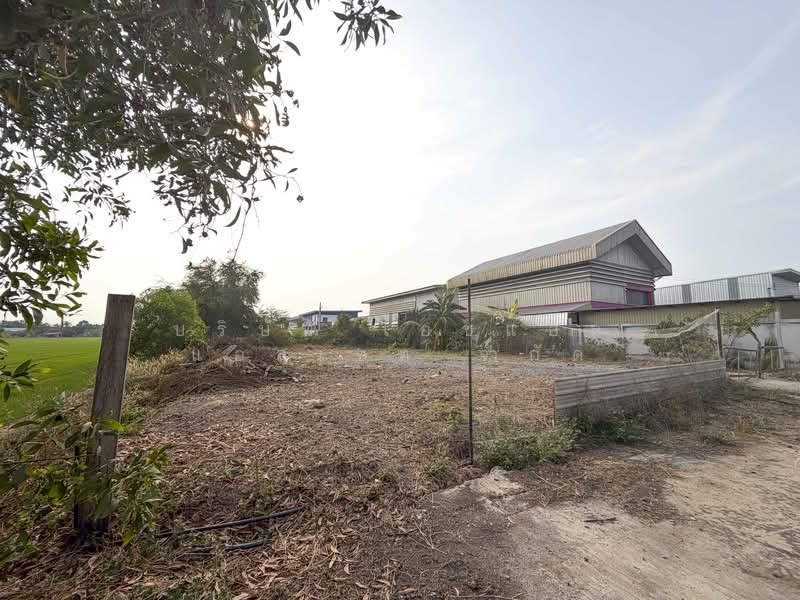 Vacant land, 126 square wah, Sai Noi, Nonthaburi., Nonthaburi, Khlong Khwang, Sai Noi, Nonthaburi, , 504 sqm, Land For Sale, by บริษัท เอชแอล แอสเซท จำกัด, 500150197 - DDproperty.com