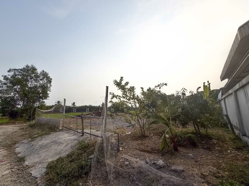 Vacant land, 126 square wah, Sai Noi, Nonthaburi., Nonthaburi, Khlong Khwang, Sai Noi, Nonthaburi, , 504 sqm, Land For Sale, by บริษัท เอชแอล แอสเซท จำกัด, 500150197 - DDproperty.com