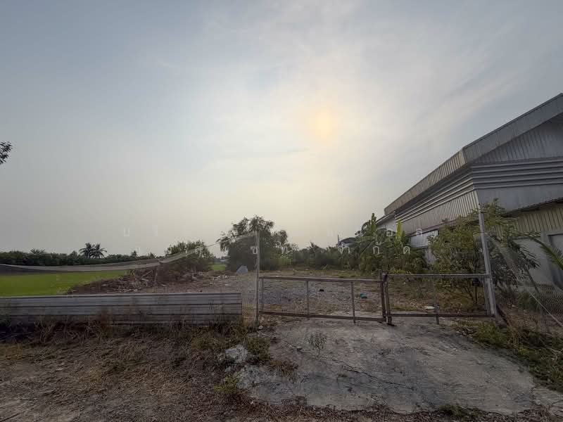 Vacant land, 126 square wah, Sai Noi, Nonthaburi., Nonthaburi, Khlong Khwang, Sai Noi, Nonthaburi, , 504 sqm, Land For Sale, by บริษัท เอชแอล แอสเซท จำกัด, 500150197 - DDproperty.com
