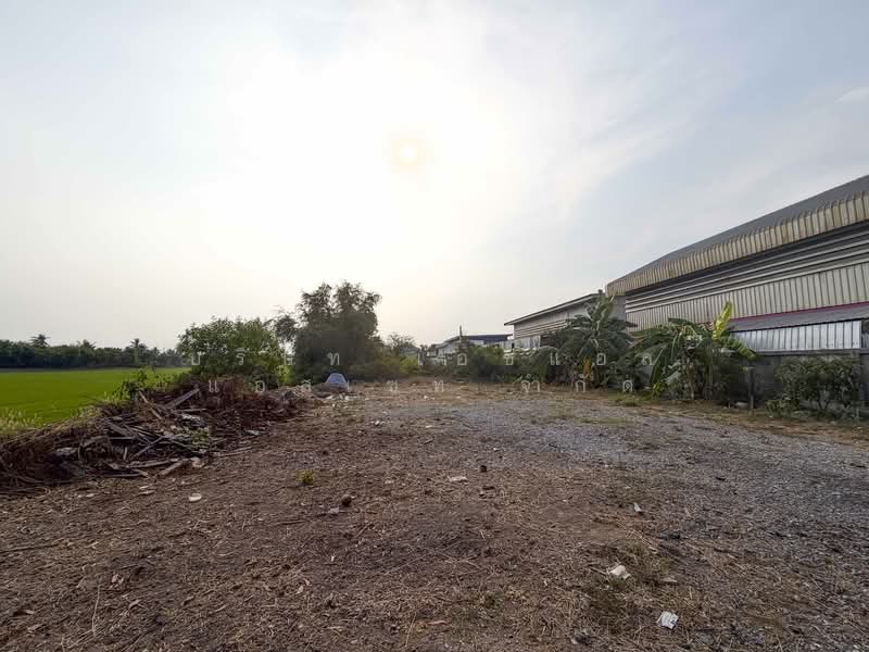 Vacant land, 126 square wah, Sai Noi, Nonthaburi., Nonthaburi, Khlong Khwang, Sai Noi, Nonthaburi, , 504 sqm, Land For Sale, by บริษัท เอชแอล แอสเซท จำกัด, 500150197 - DDproperty.com