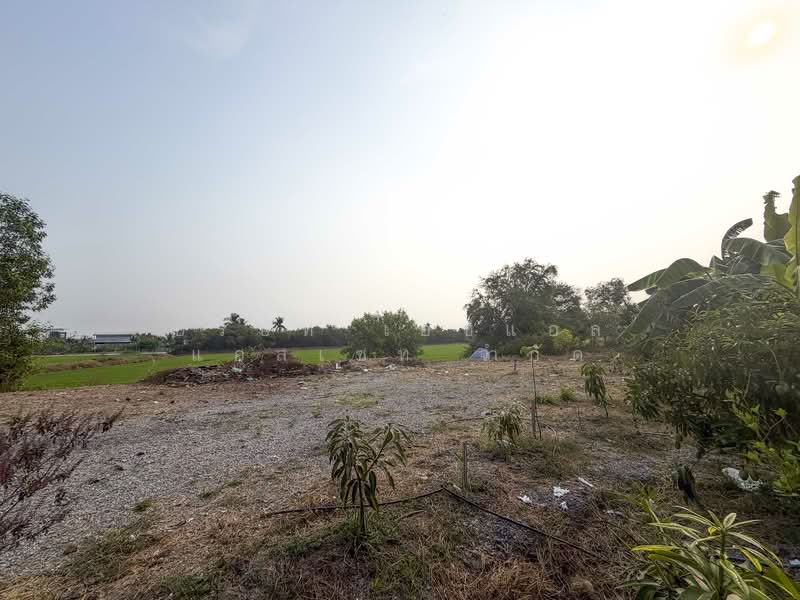 Vacant land, 126 square wah, Sai Noi, Nonthaburi., Nonthaburi, Khlong Khwang, Sai Noi, Nonthaburi, , 504 sqm, Land For Sale, by บริษัท เอชแอล แอสเซท จำกัด, 500150197 - DDproperty.com