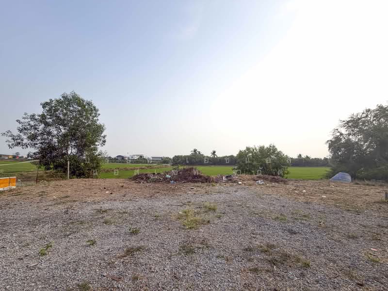 Vacant land, 126 square wah, Sai Noi, Nonthaburi., Nonthaburi, Khlong Khwang, Sai Noi, Nonthaburi, , 504 sqm, Land For Sale, by บริษัท เอชแอล แอสเซท จำกัด, 500150197 - DDproperty.com