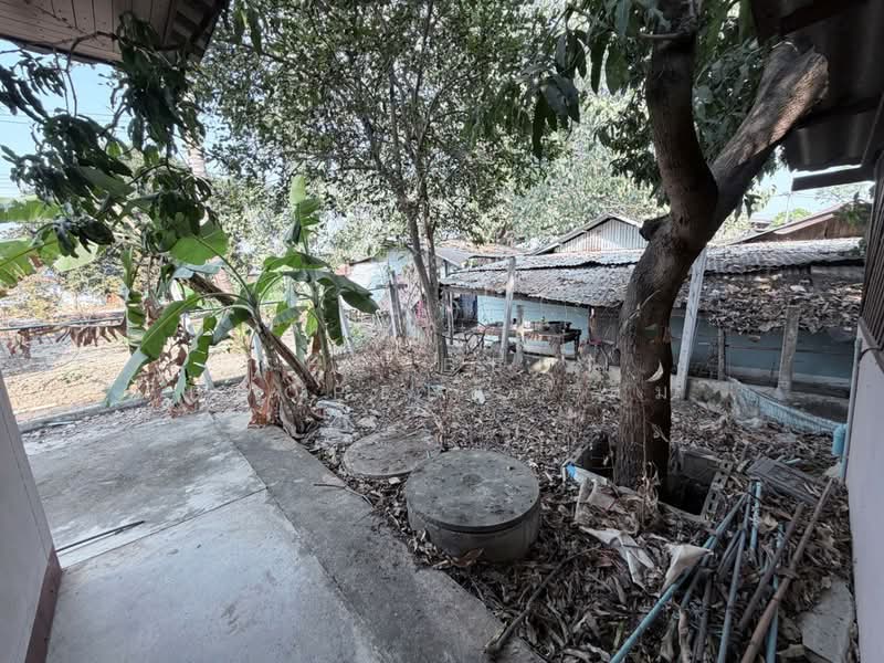 บ้านเดี่ยวกำแพงแสน นครปฐม, นครปฐม, หนองกระทุ่ม, กำแพงแสน, นครปฐม, 150 ตร.ม., บ้านเดี่ยว ขาย, โดย The Best Property ส้ม, 500150205 - DDproperty.com