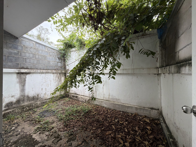 For Sale - เดอะ ลิลลี่ @สปริง ซิตี้, Prachin Buri