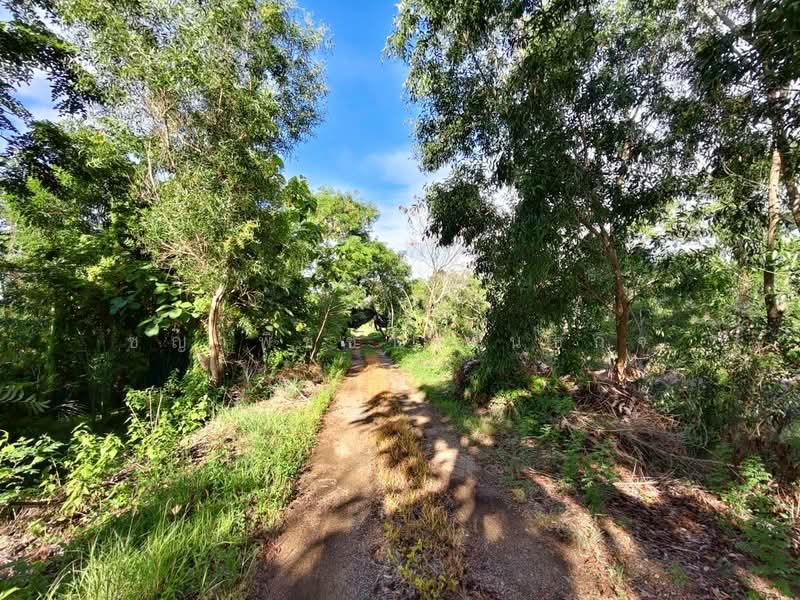 ขายที่ดินเปล่า 2 ไร่ องครักษ์ นครนายก, Nakhon Nayok, Bang Pla Kot, Ongkharak, Nakhon Nayok, , 3,224 sqm, Land For Sale, by ชญาพิชชา พันธกิจ, 500150220 - DDproperty.com
