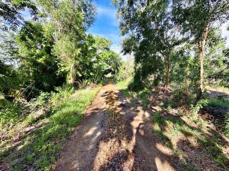 ขายที่ดินเปล่า 2 ไร่ องครักษ์ นครนายก, Nakhon Nayok, Bang Pla Kot, Ongkharak, Nakhon Nayok, , 3,224 sqm, Land For Sale, by ชญาพิชชา พันธกิจ, 500150220 - DDproperty.com