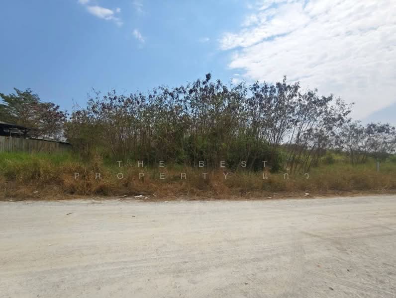 ที่ดินบางปะกง ฉะเชิงเทรา, ฉะเชิงเทรา, สองคลอง, บางปะกง, ฉะเชิงเทรา, 800 ตร.ม., ที่ดิน ขาย, โดย The Best Property แก้ว, 500150270 - DDproperty.com