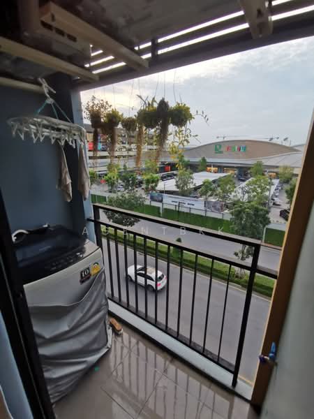 iCondo Green Space Sukhumvit 77, Bangkok, Lat Krabang Road, Lat Krabang, Lat Krabang, Bangkok, 1 Bedroom, 25 sqm, Condo For Rent, by Agentbkk, 500150298 - DDproperty.com