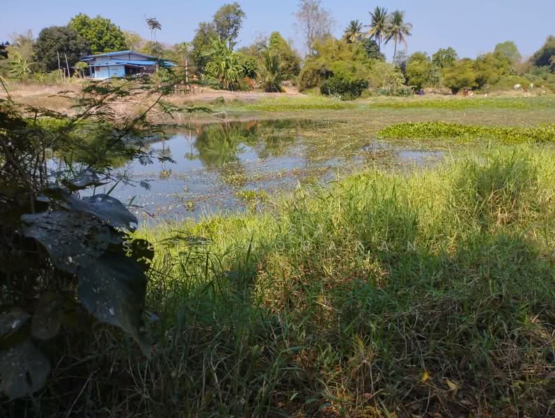 ขาย - เดิมบางนางบวช, สุพรรณบุรี