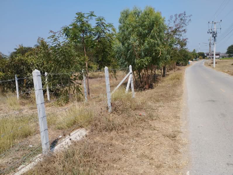 ขาย - เดิมบางนางบวช, สุพรรณบุรี