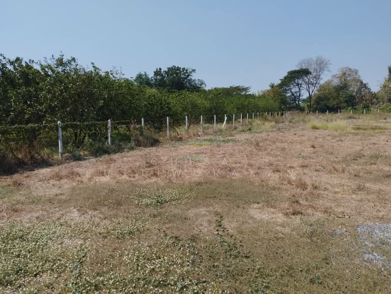 ขาย - เดิมบางนางบวช, สุพรรณบุรี