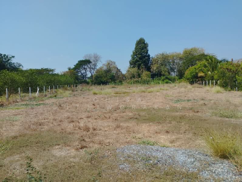 ขาย - เดิมบางนางบวช, สุพรรณบุรี