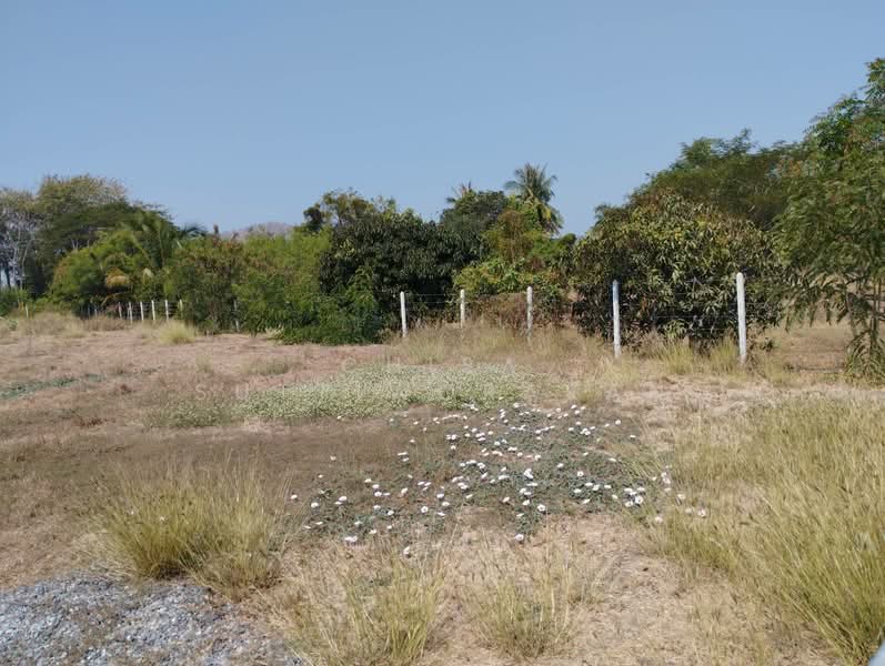 ขาย - เดิมบางนางบวช, สุพรรณบุรี