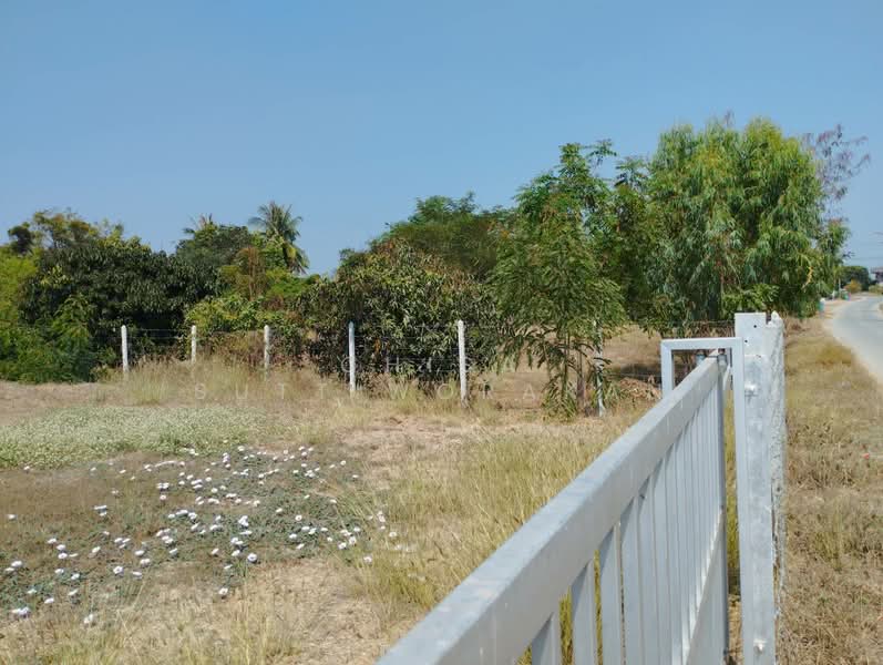 เดิมบางนางบวช, Suphan Buri, Yang Non, Doembang Nangbuat, Suphan Buri, , 2,228 sqm, Land For Sale, by Chisa Suttiworakan, 500150304 - DDproperty.com