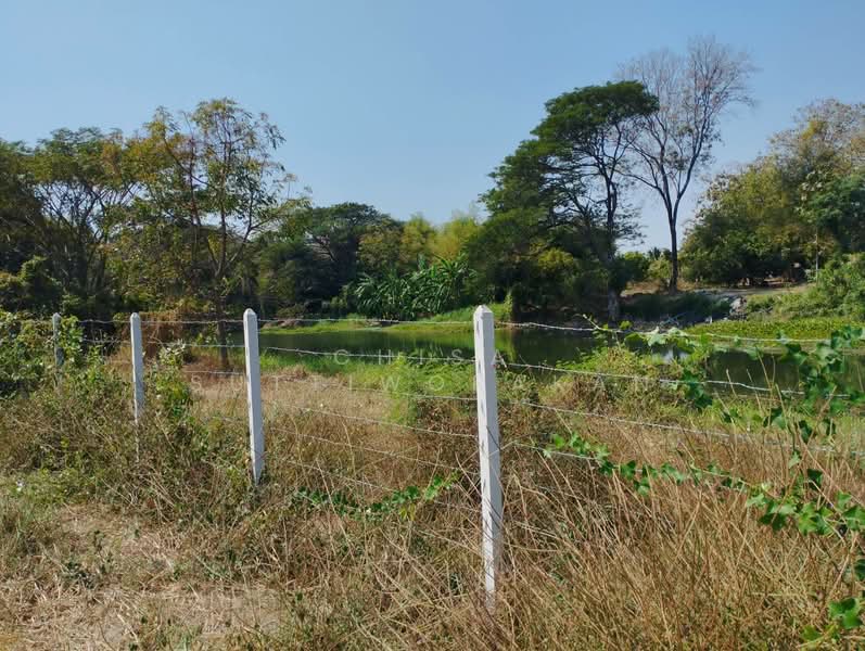 เดิมบางนางบวช, Suphan Buri, Yang Non, Doembang Nangbuat, Suphan Buri, , 2,228 sqm, Land For Sale, by Chisa Suttiworakan, 500150304 - DDproperty.com