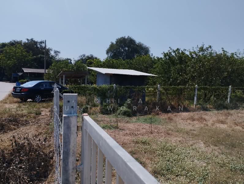 เดิมบางนางบวช, Suphan Buri, Yang Non, Doembang Nangbuat, Suphan Buri, , 2,228 sqm, Land For Sale, by Chisa Suttiworakan, 500150304 - DDproperty.com