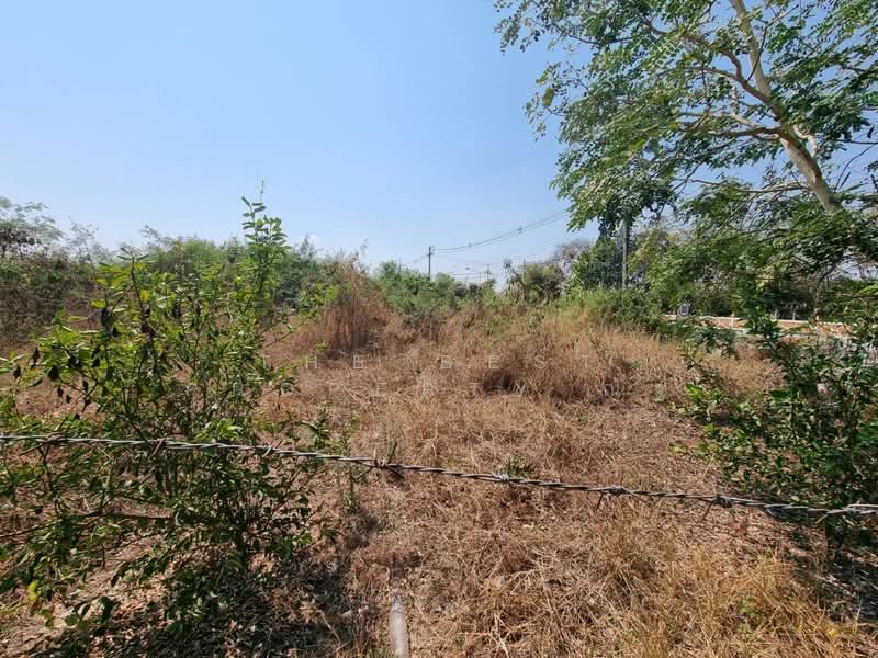 ที่ดินไตรตรึงษ์ กำแพงเพชร, กำแพงเพชร, ไตรตรึงษ์, เมืองกำแพงเพชร, กำแพงเพชร, 760 ตร.ม., ที่ดิน ขาย, โดย The Best Property ณัฐ, 500150405 - DDproperty.com