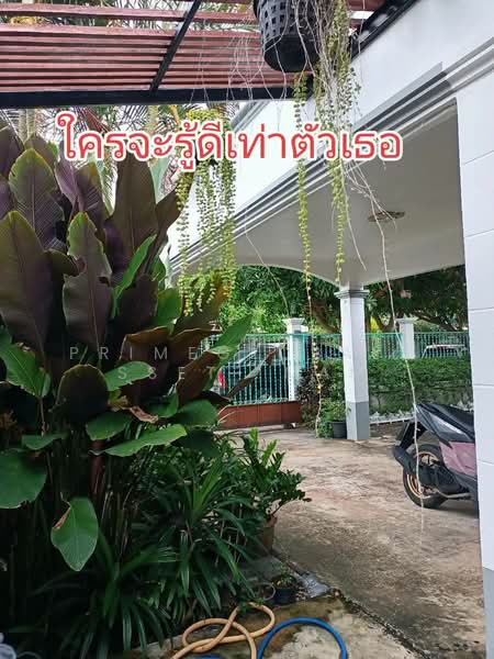 Phuket Villa Daorung : ภูเก็ตวิลล่า ดาวรุ่ง, ภูเก็ต, ถนนเจ้าฟ้าตะวันออก, วิชิต, เมืองภูเก็ต, ภูเก็ต, 72 ตร.ม., บ้านเดี่ยว ให้เช่า, โดย primeglobalasset  Mam, 500150423 - DDproperty.com