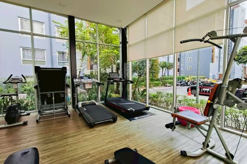 Plum Condo Bangyai Station, Nonthaburi, Janthongeam Road, Bang Rak Pattana, Bang Bua Thong, Nonthaburi, 1 Bedroom, 23 sqm, Condo For Sale, by ชนะชาติ นนท์ตา, 500150442 - DDproperty.com