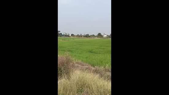 Residential Land Plot 30 rai Sainoi Nonthaburi, Nonthaburi, Khlong Khwang, Sai Noi, Nonthaburi, , 48,000 sqm, Land For Sale, by Chanitnun Mewongukote, 500150540 - DDproperty.com