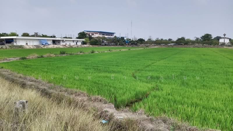 Residential Land Plot 30 rai Sainoi Nonthaburi, Nonthaburi, Khlong Khwang, Sai Noi, Nonthaburi, , 48,000 sqm, Land For Sale, by Chanitnun Mewongukote, 500150540 - DDproperty.com