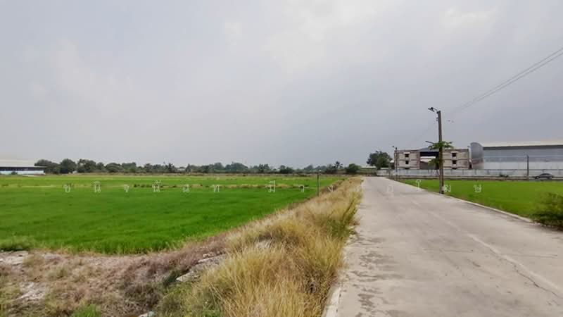 ที่ดิน 30 ไร่ แยกไทรน้อย, นนทบุรี, คลองขวาง, ไทรน้อย, นนทบุรี, 48,000 ตร.ม., ที่ดิน ขาย, โดย ชนิจนันท์ มีวงศ์อุโฆษ, 500150540 - DDproperty.com