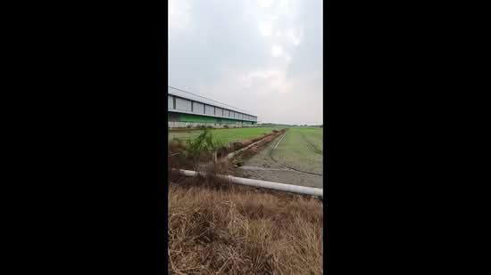 40 Rai Sainoi Land Plot near Town Home Project, Nonthaburi, Khun Sri, Sai Noi, Nonthaburi, , 66,976 sqm, Land For Sale, by Chanitnun Mewongukote, 500150583 - DDproperty.com