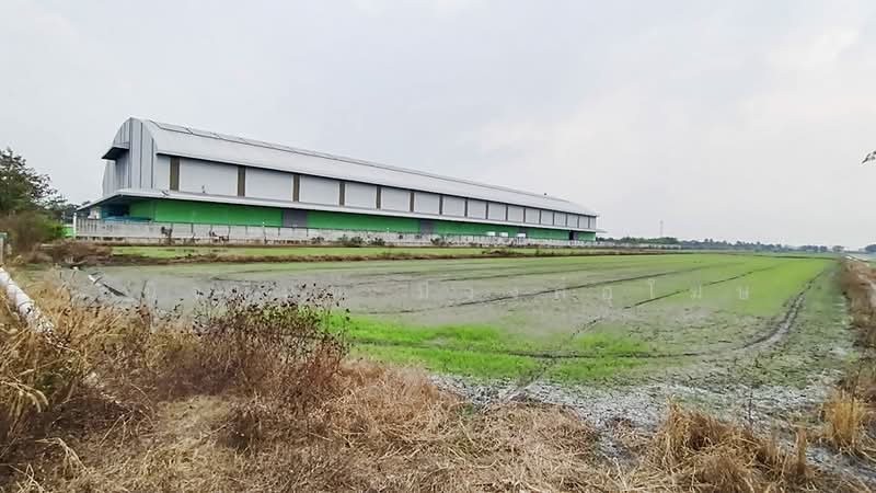 ที่ดิน 40 ไร่ ไทรน้อย ใกล้โครงการทาวน์โฮมใหม่, นนทบุรี, ขุนศรี, ไทรน้อย, นนทบุรี, 66,976 ตร.ม., ที่ดิน ขาย, โดย ชนิจนันท์ มีวงศ์อุโฆษ, 500150583 - DDproperty.com