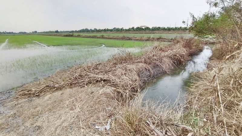 40 Rai Sainoi Land Plot near Town Home Project, Nonthaburi, Khun Sri, Sai Noi, Nonthaburi, , 66,976 sqm, Land For Sale, by Chanitnun Mewongukote, 500150583 - DDproperty.com