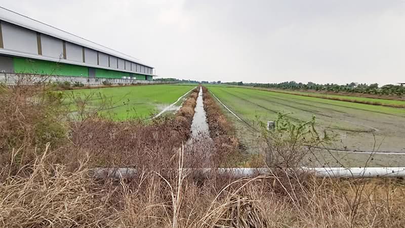 40 Rai Sainoi Land Plot near Town Home Project, Nonthaburi, Khun Sri, Sai Noi, Nonthaburi, , 66,976 sqm, Land For Sale, by Chanitnun Mewongukote, 500150583 - DDproperty.com