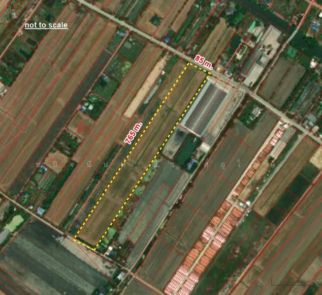 40 Rai Sainoi Land Plot near Town Home Project, Nonthaburi, Khun Sri, Sai Noi, Nonthaburi, , 66,976 sqm, Land For Sale, by Chanitnun Mewongukote, 500150583 - DDproperty.com