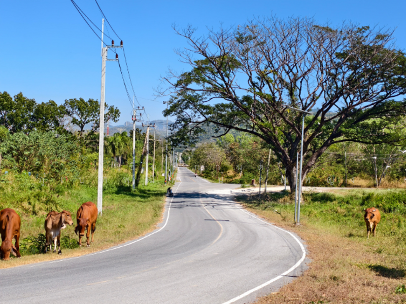 ที่ดินถมแล้ว 23 ไร่ ทำเลทอง ต.ทับกวาง อ.แก่งคอย จ.สระบุรี ใกล้ทางลง M6 เพียง 23 ล้าน, สระบุรี, ทับกวาง, แก่งคอย, สระบุรี, 36,800 ตร.ม., ที่ดิน ขาย, โดย ชื่นศิกานต์ ภูเบศพุฒิพัฒน์ คุณหญิง, 500150614 - DDproperty.com